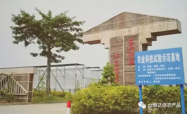 南沙農業生產国产探花在线播放